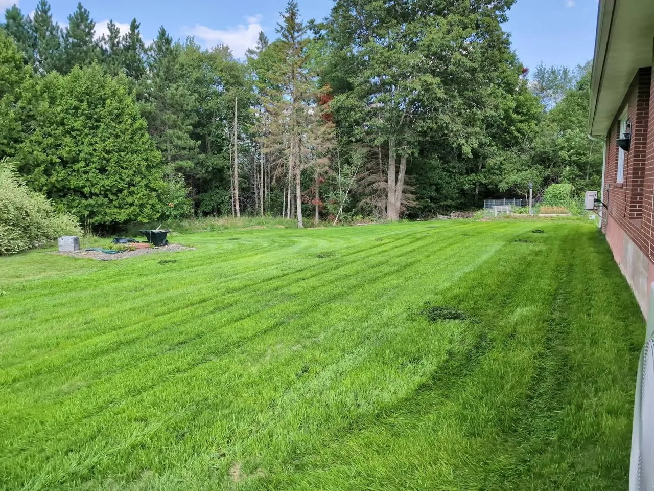 The brick-house yard with a grown-in green lawn after ground preparation and hydroseeding
