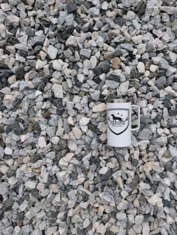 Platinum White with Black Granite — 1 1/4 Clean material sample