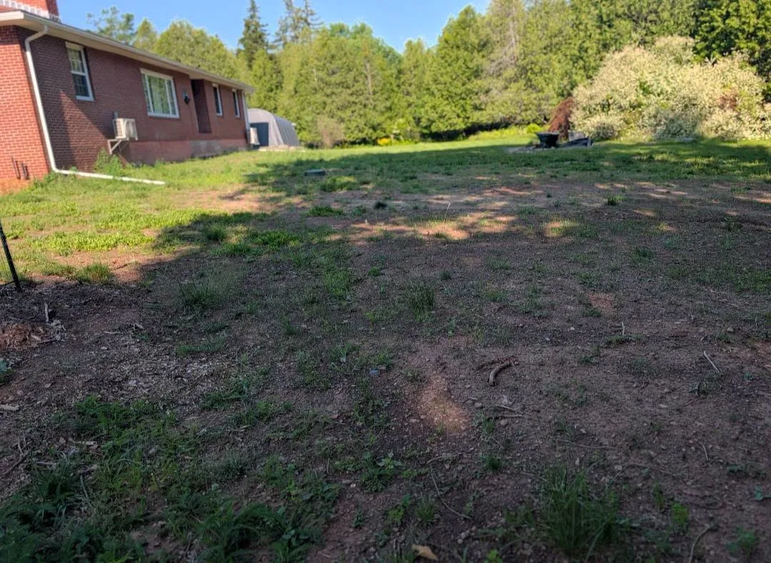 Patchy uneven yard beside a brick house before ground preparation