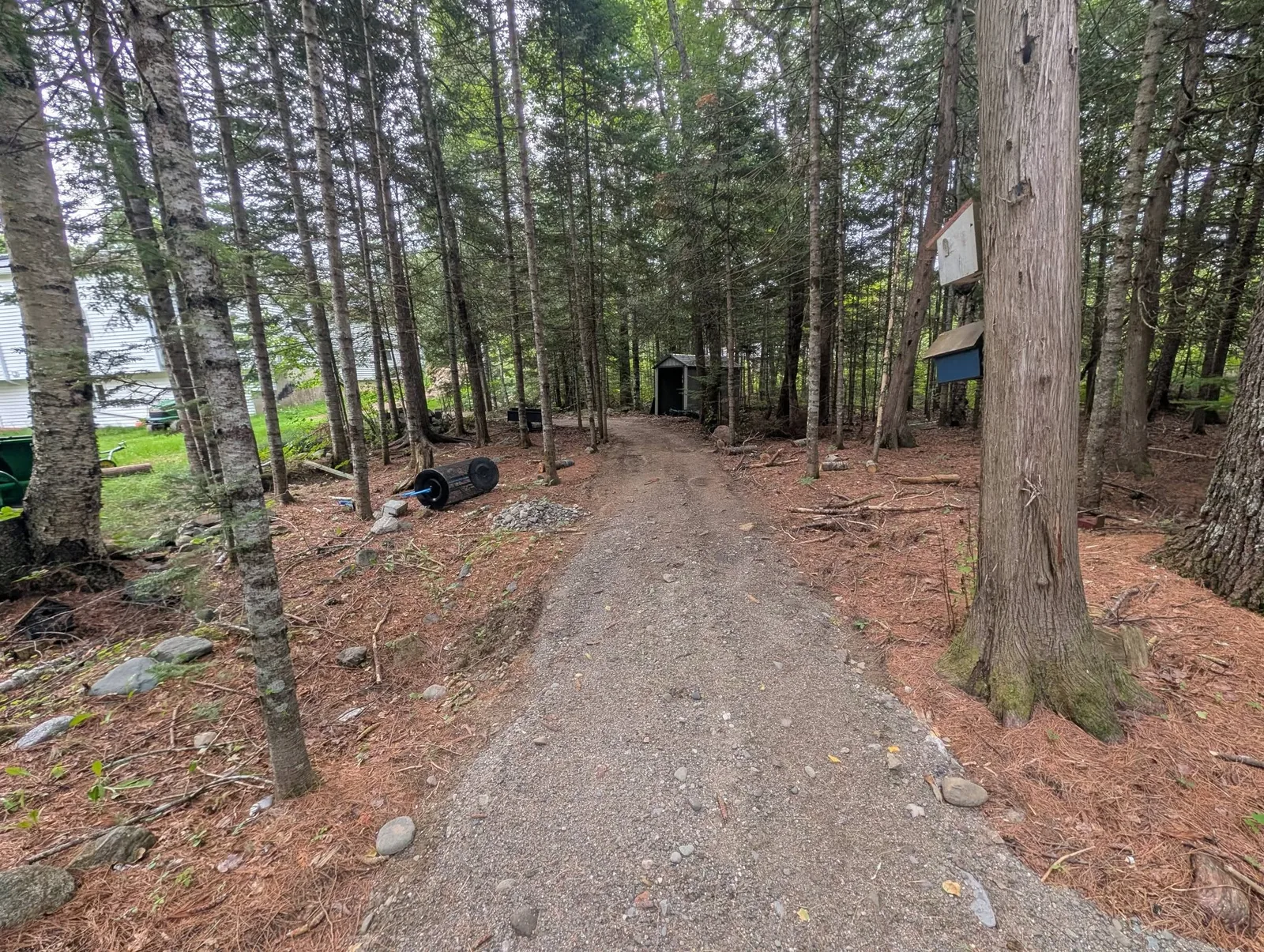 Rough unfinished path through the trees before the granite finish
